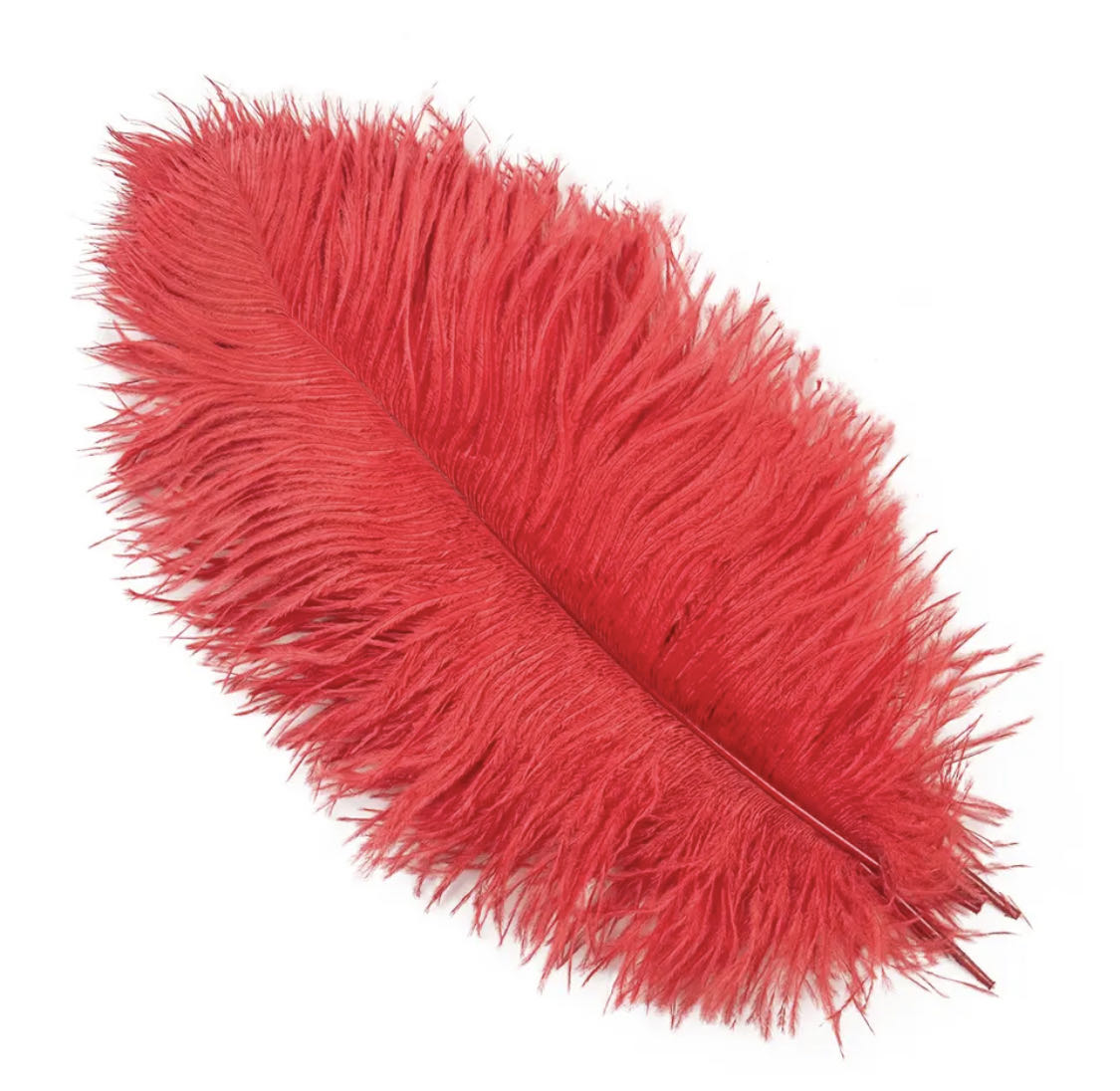 piuma di struzzo.10pezzi piume lunghezza 27-30cm per capello matrimonio