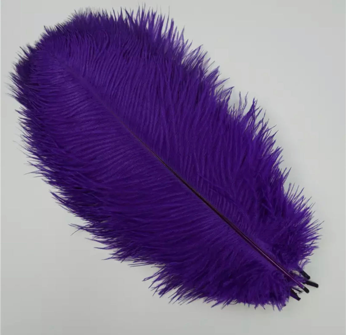 piuma di struzzo.10pezzi piume lunghezza 27-30cm per capello matrimonio