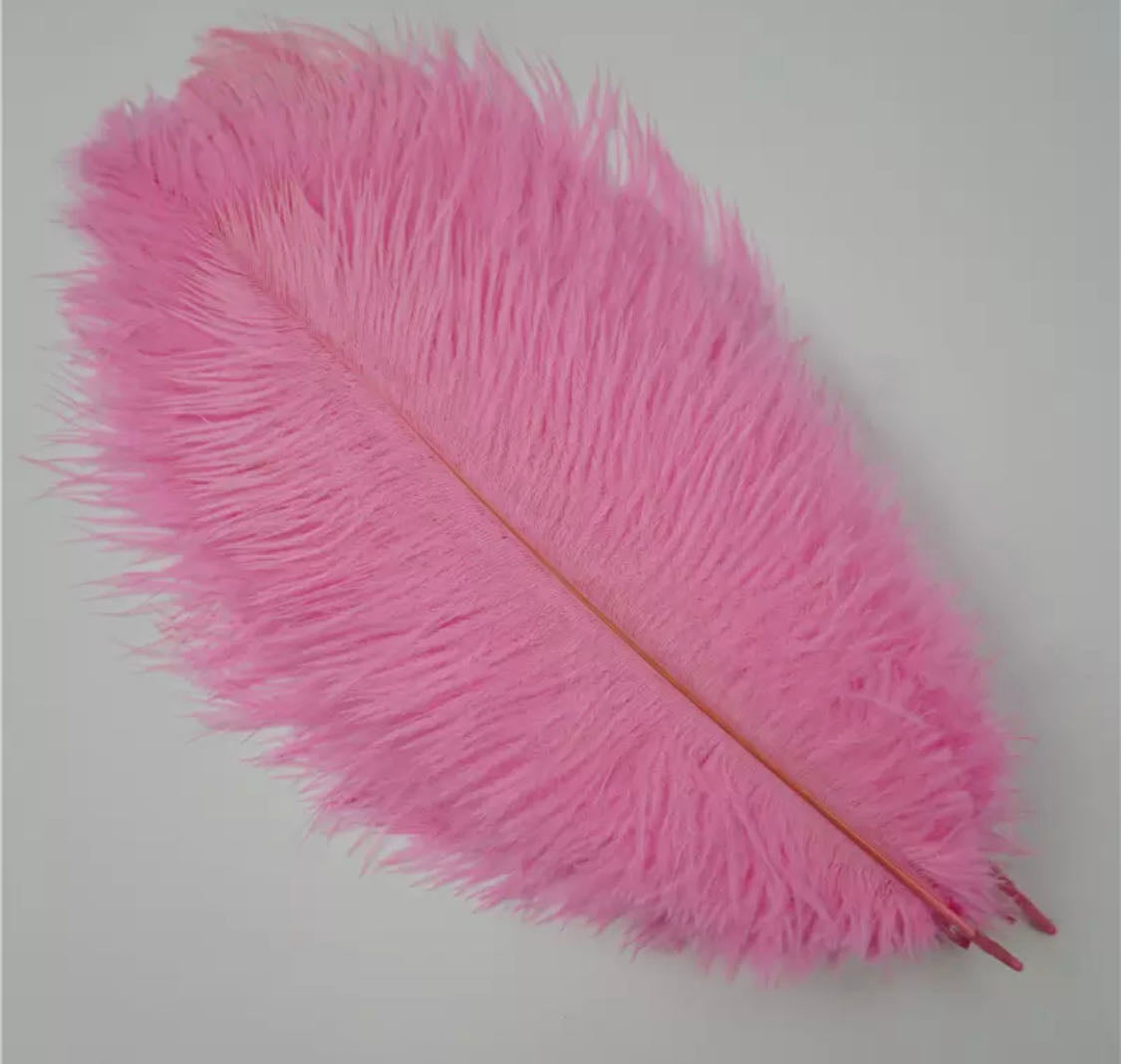 piuma di struzzo.10pezzi piume lunghezza 27-30cm per capello matrimonio