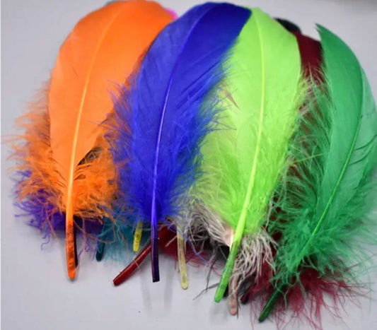 piuma di oca 20pezzi piume lunghezza 16-20cm